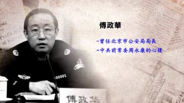 王友群：被舉報到二十九國 傅政華難逃大審判