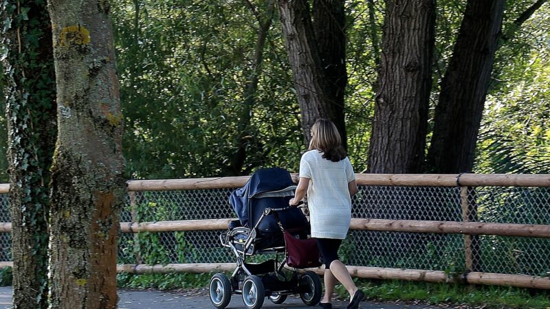 婴儿车座椅过低或增加儿童所受空气污染
