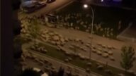 土耳其禁足令下 羊群咩咩叫佔領街道