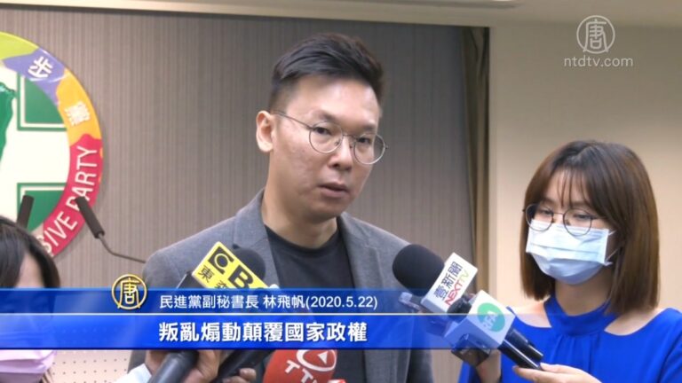 港版國安法引憂 林飛帆：組撐港國際隊