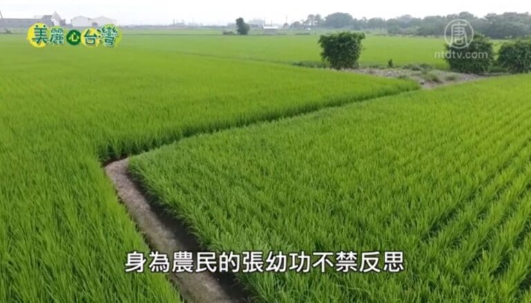 美麗心台灣：為理念打拼 張幼功不畏艱辛 力推BD農法