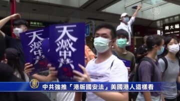 中共強推「港版國安法」美國港人這樣看