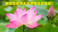 澳大利亞、新西蘭法輪功學員恭賀世界法輪大法日暨李洪志大師華誕(20條)