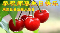 長春法輪功學員恭賀世界法輪大法日暨李洪志大師華誕(22條)