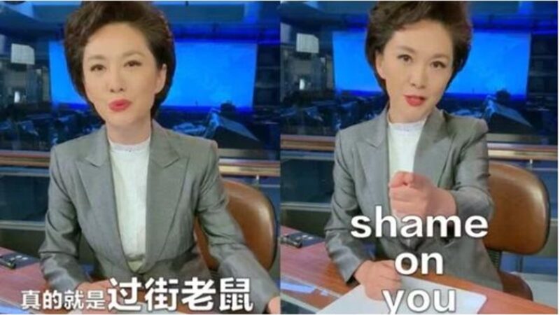 网络热帖：海外华人都要跟CCTV恶补中文
