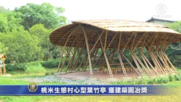 桃米生态村心型叶竹亭 获建筑园冶奖