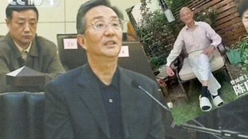 韩正情妇私生子曝光 还有一情人被陈良宇夺走