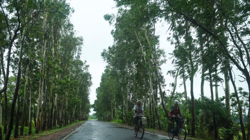 21年来最强热带气旋 “安潘”直扑印度孟加拉