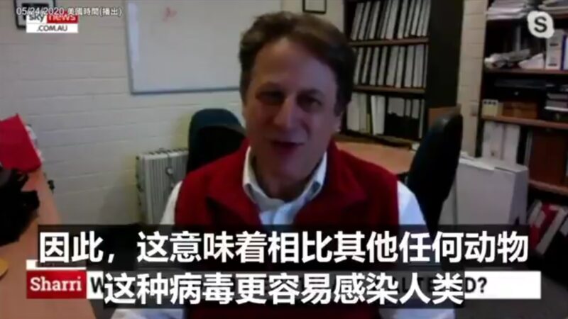 澳洲研究：中共病毒最容易感染人类 而非动物