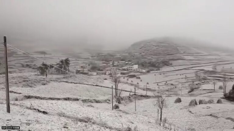 黑龍江5月飛雪氣溫驟降30度 農民絕望