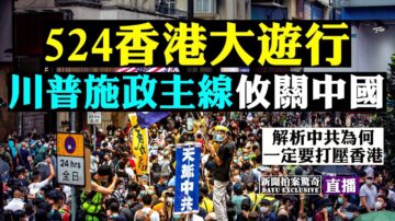 【拍案驚奇】5.24香港大遊行 警方催淚彈 胡椒球彈 水炮車齊上