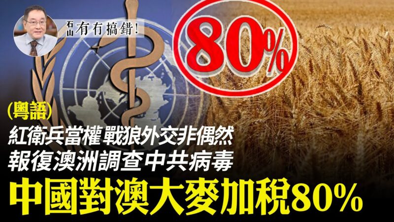 【有冇搞错】报复调查病毒 中国对澳大麦加税80%