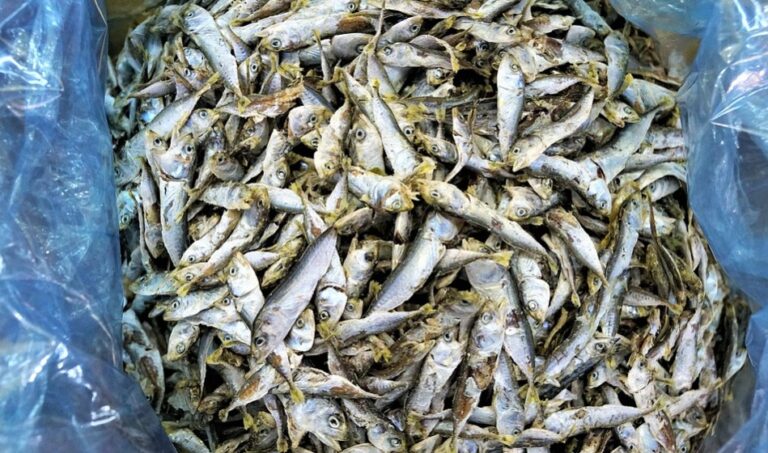 少吃血壓最怕的6類食物 否則降壓藥也白吃了(組圖)