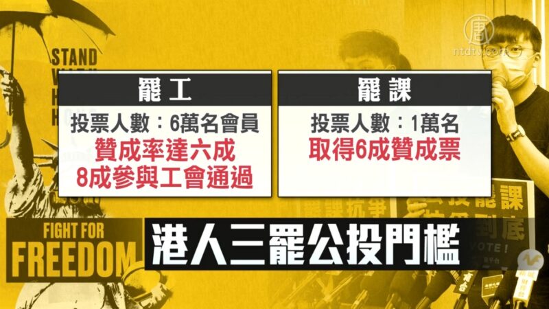 抗惡法！港人三罷公投 市民：這一刻要出來