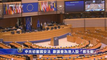 中共人大初审港国安法 欧议会为港人设“救生艇”