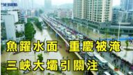 【今日焦点】多地现鱼跃水面异象 重庆被淹 三峡大坝引关注