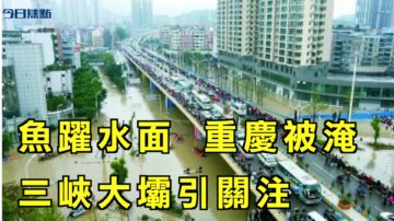 【今日焦點】多地現魚躍水面異象 重慶被淹 三峽大壩引關注