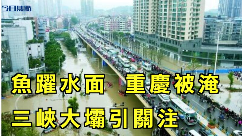 【今日焦点】多地现鱼跃水面异象 重庆被淹 三峡大坝引关注