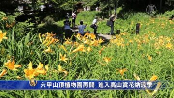 六甲山顶植物园再开 进入高山赏花纳凉季