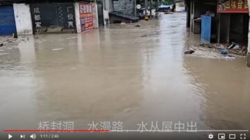 鄭義：南方暴雨成災