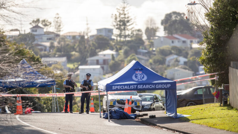 新西兰罕见枪击案 警截查车辆遭枪杀酿1死2伤