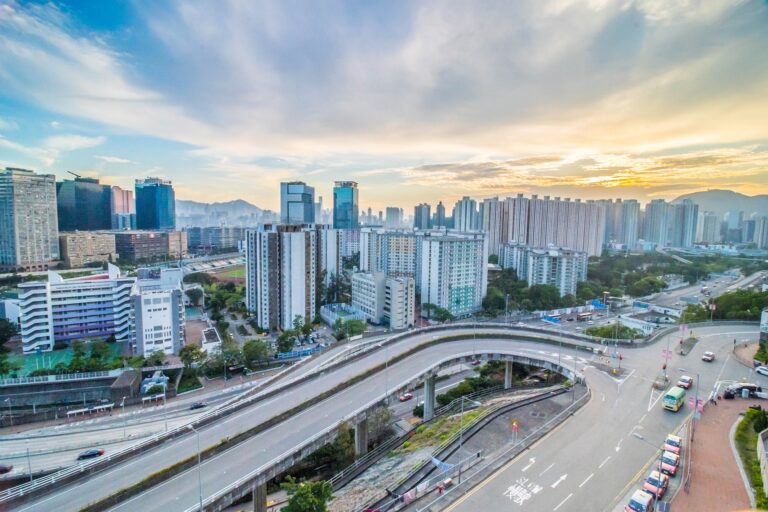 香港的特殊經濟地位：誰能替代？