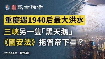 文昭：三峽「黑天鵝」還有第二隻/《國安法》或拖習帝下台？