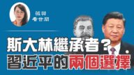 【薇羽看世间】斯大林的继任者？习近平的两个选择