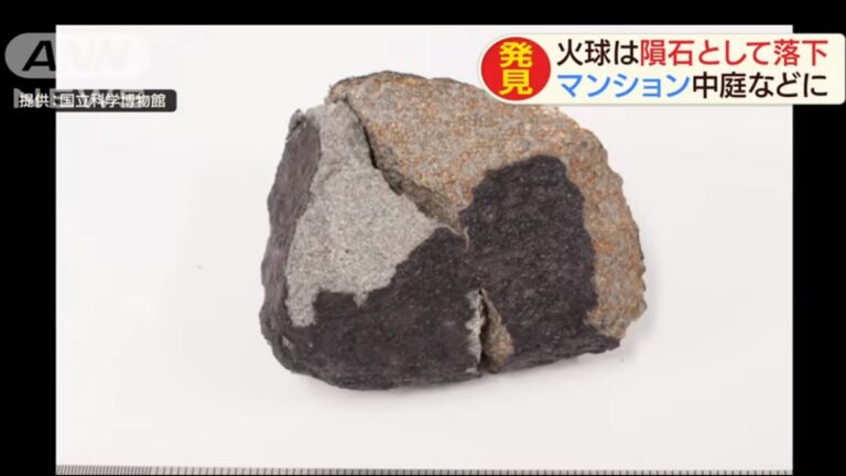 夜空火球墜落 日本千葉縣民宅尋獲隕石(視頻)
