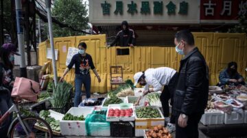 袁斌：大陸經濟學家指「內循環」是畫餅充飢