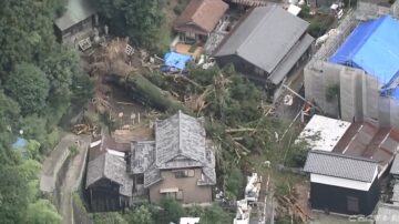 豪大雨重创 日本岐阜千年杉木连根拔起压毁民宅