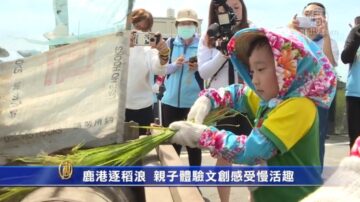 鹿港逐稻浪 親子體驗文創感受慢活趣