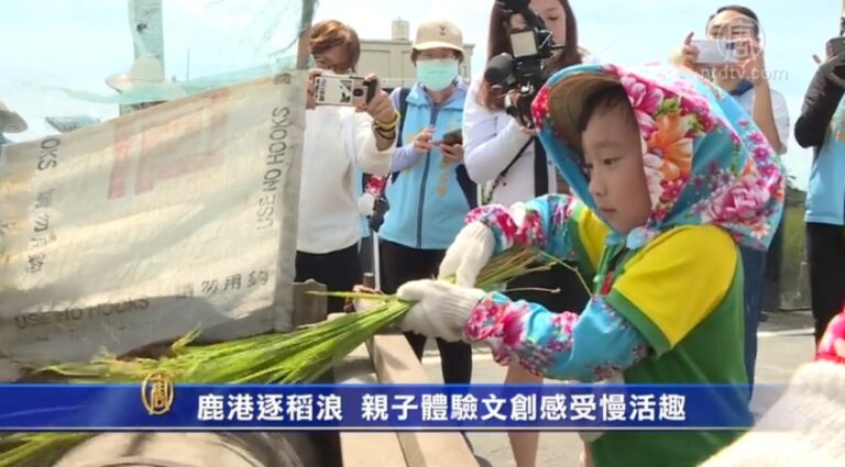 鹿港逐稻浪 親子體驗文創感受慢活趣