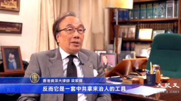 《国安法》模糊宽泛 国安公署可主观臆断