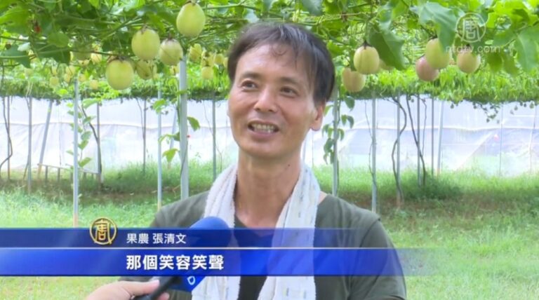 棄工程師返鄉務農 南台灣氣候種出碩大百香果