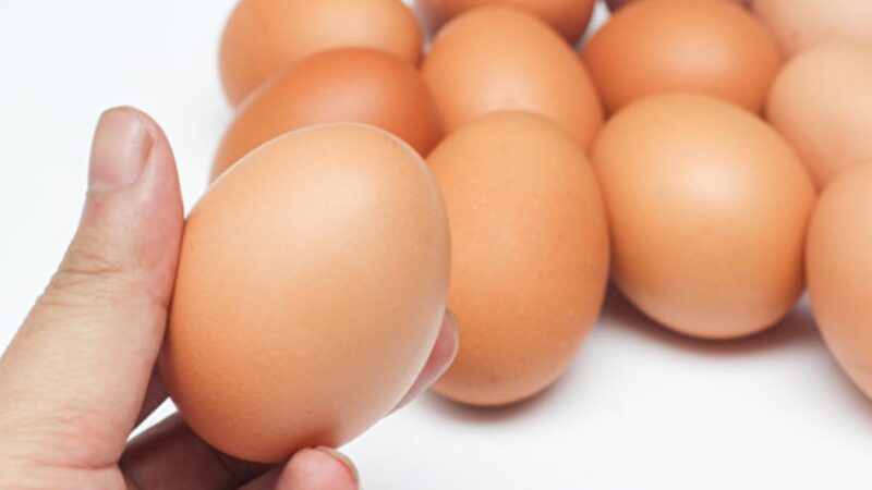 鸡蛋可以保存多久？一杯水测鸡蛋新不新鲜（组图）