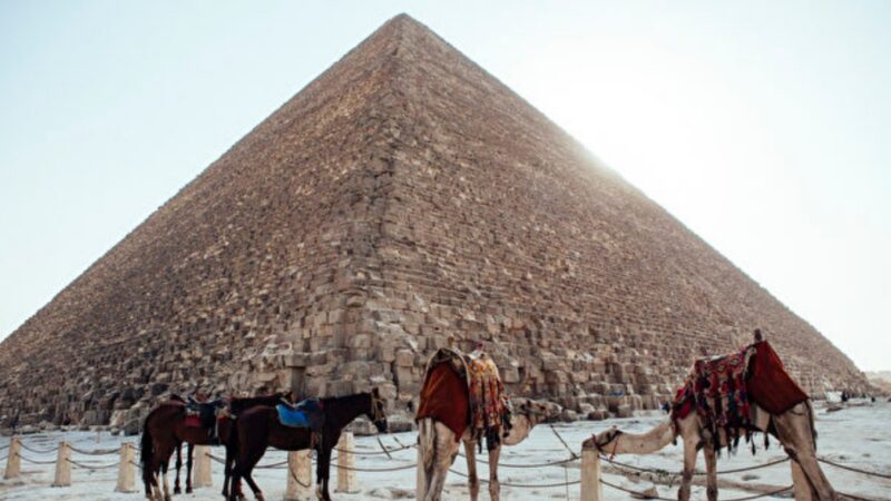 俄夫妇在自家后院盖9公尺高金字塔（视频）
