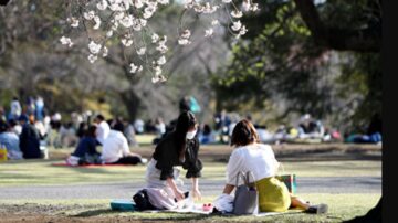 出遊潮！自製野餐便當：雞絲馬鈴薯泥餅（組圖）