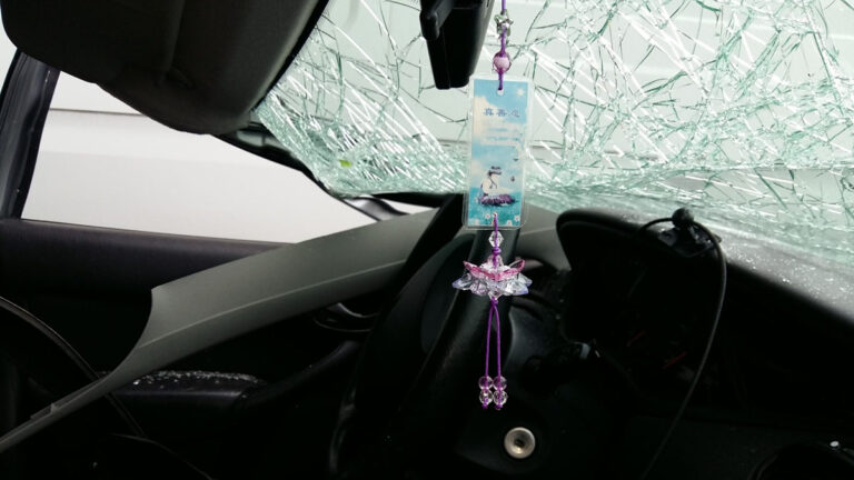 一場致命車禍 小蓮花讓他化險為夷