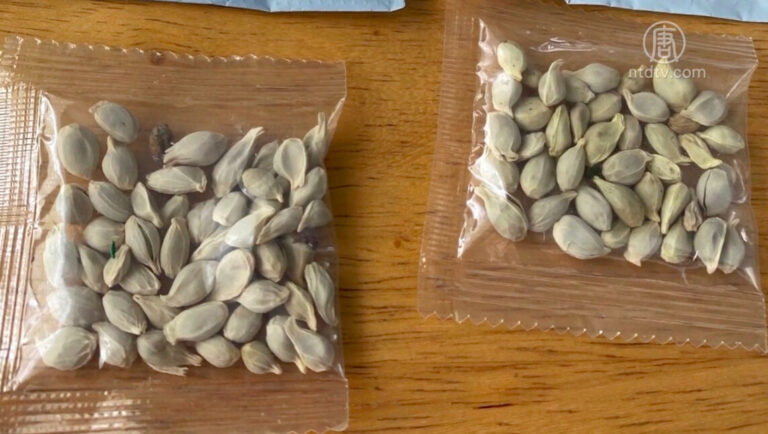 紐約華裔5次收到中國種子 農業部：寄給我們