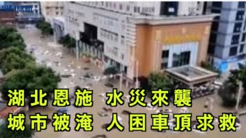 【今日焦點】湖北恩施水災來襲 城市被淹人困車頂求救