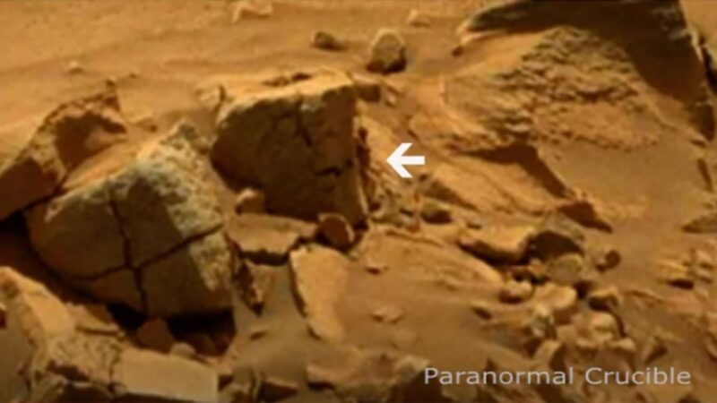 火星照片岩石角落躲着一个神秘人？
