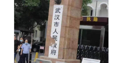 傳武漢女斧劈市政府門牌 中國網民一片叫好