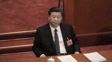 【禁闻】习近平亚投行年会未提撒币 释何信号？