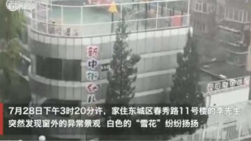 北京东城六月飞雪 党媒“辟谣”露破绽（视频）