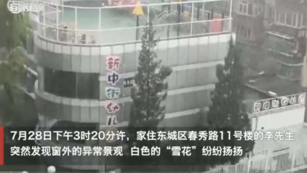 清竹：北京的六月飞雪在警示我们什么？