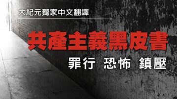 《共產主義黑皮書》：革命概念的產生與演進