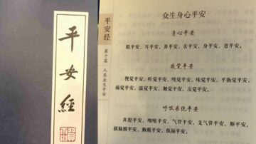 一本「奇書」被熱捧 再現中共官場現形記