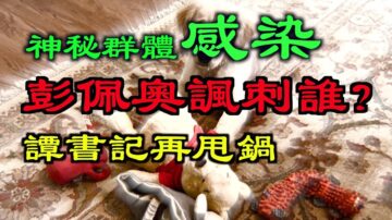 【德传媒】蓬佩奥嘲讽谁？/川普终于出手 重点在这里……