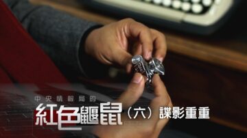 《中央情報局的紅色鼴鼠》（六）諜影重重